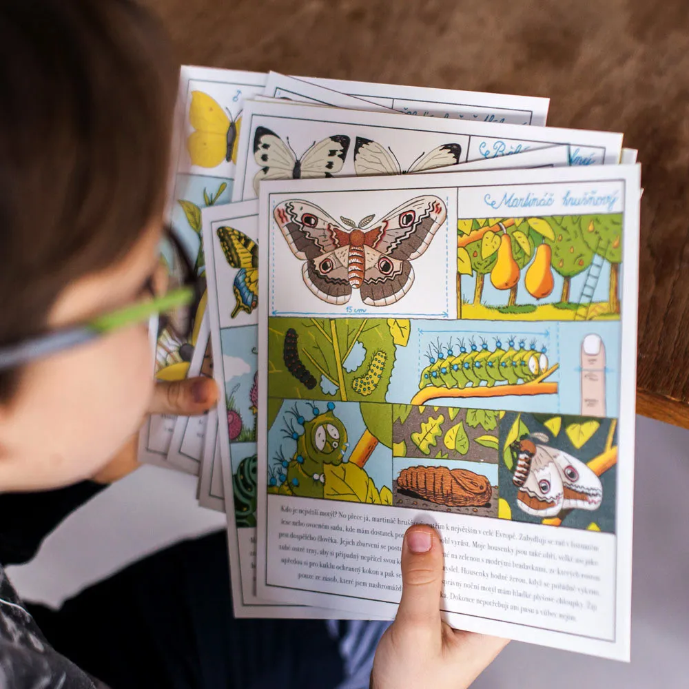 Montessori pre vek 6 – 9 rokov: Hor sa do spoločnosti